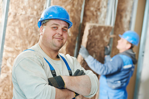 Best Residential Insulation in Lodi, OH